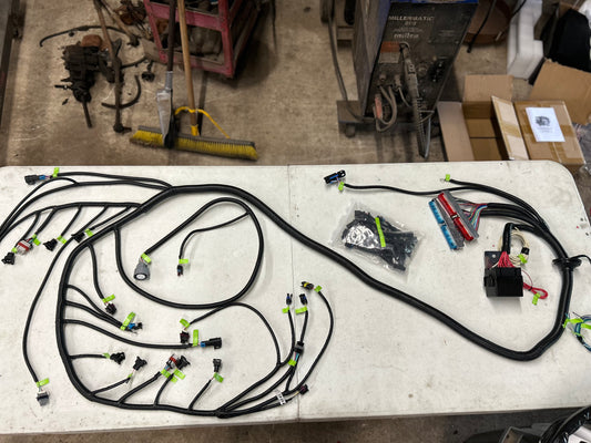 (Drive by cable) labeled ls stand alone harness (4l60e)